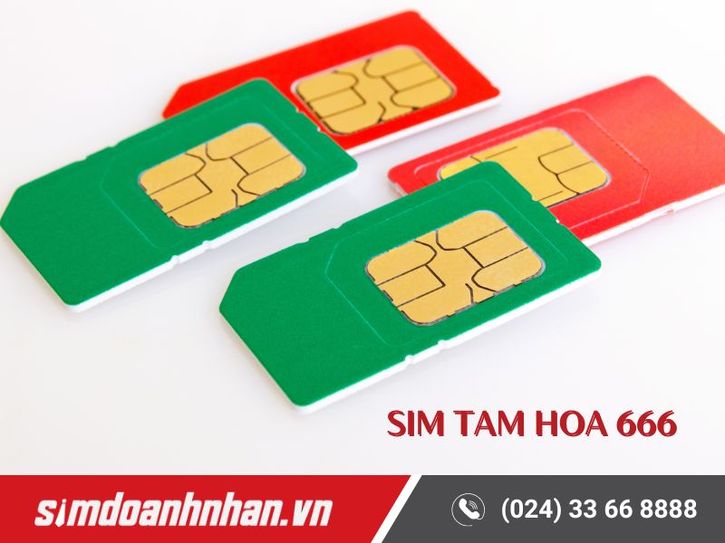 SIM Tam Hoa 666 được giới chơi SIM ưa chuộng và săn đón