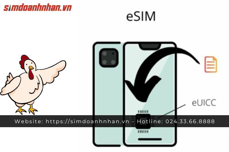 Nên Sử Dụng eSIM Như Thế Nào?