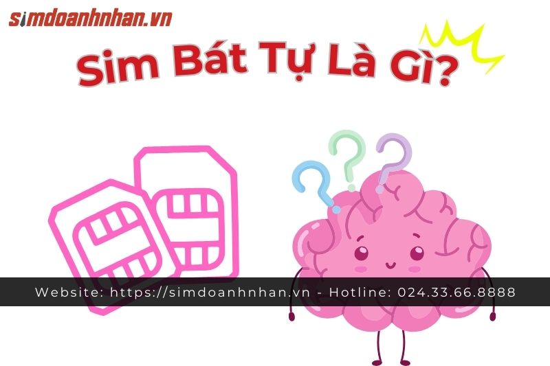 Sim bát tự là gì?(ảnh minh họa)