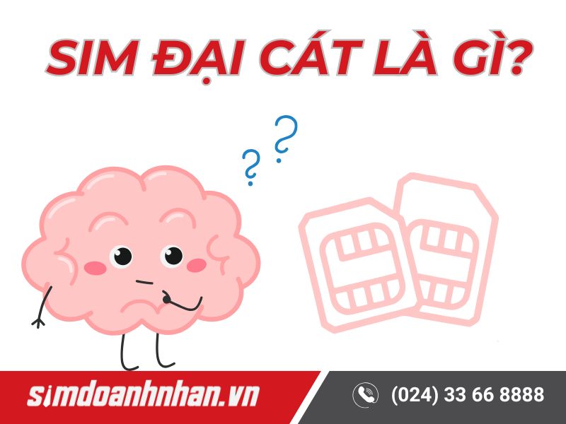 Sim Đại Cát Là Gì?