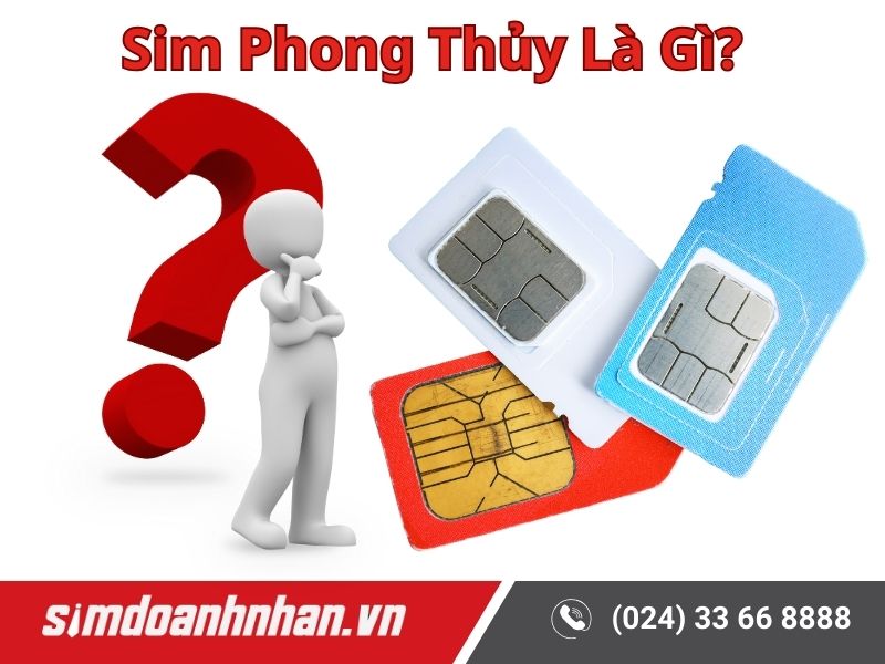 Sim Phong Thủy Là Gì?