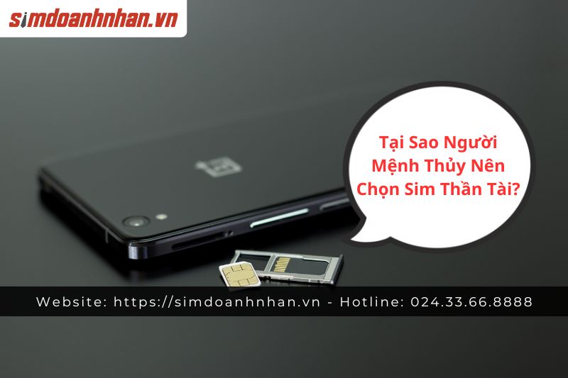 Tại Sao Người Mệnh Thủy Nên Chọn Sim Thần Tài