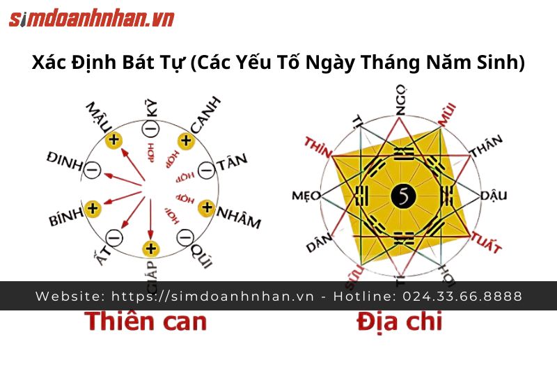 Xác Định Bát Tự 