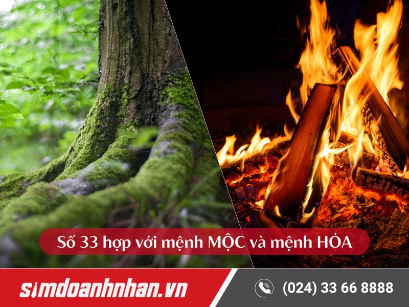 Số 33 hợp với mệnh Mộc và mệnh Hỏa, thu hút may mắn