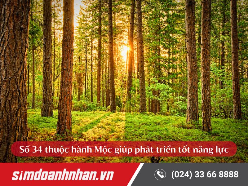 Số 34 theo ngũ hành tương ứng với hành Mộc