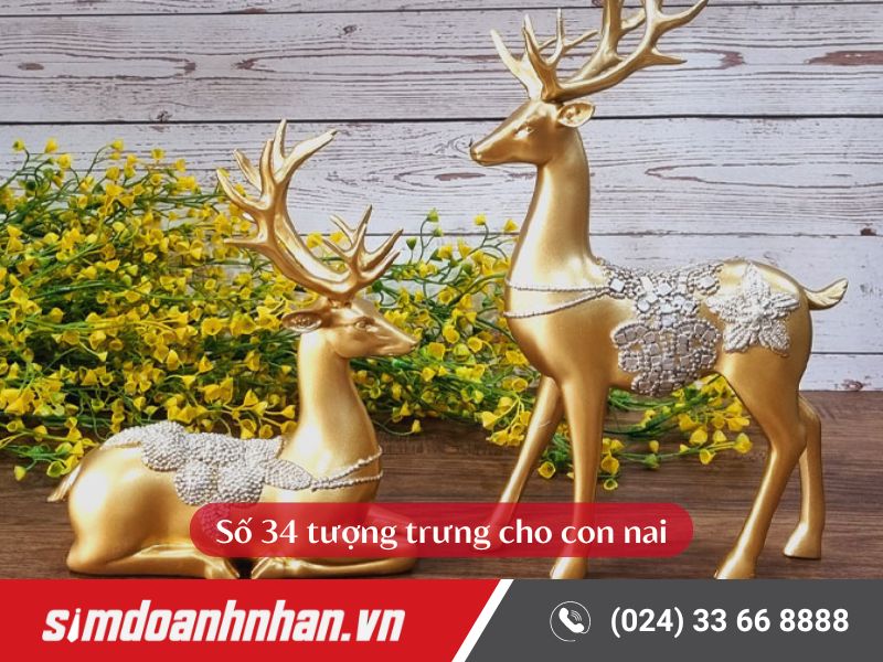 Số 34 tượng trưng cho con nai với ý nghĩa tài lộc, hạnh phúc