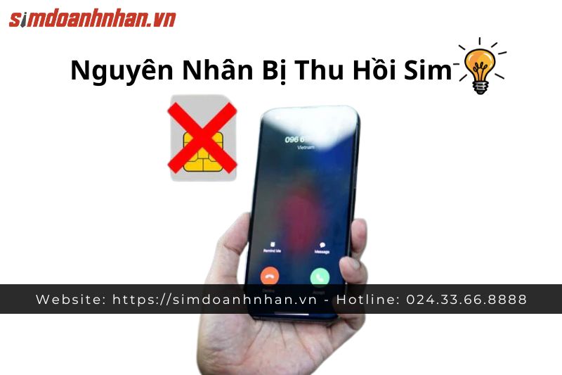 Các Nguyên Nhân Dẫn Đến Việc Thu Hồi Sim Điện Thoại 