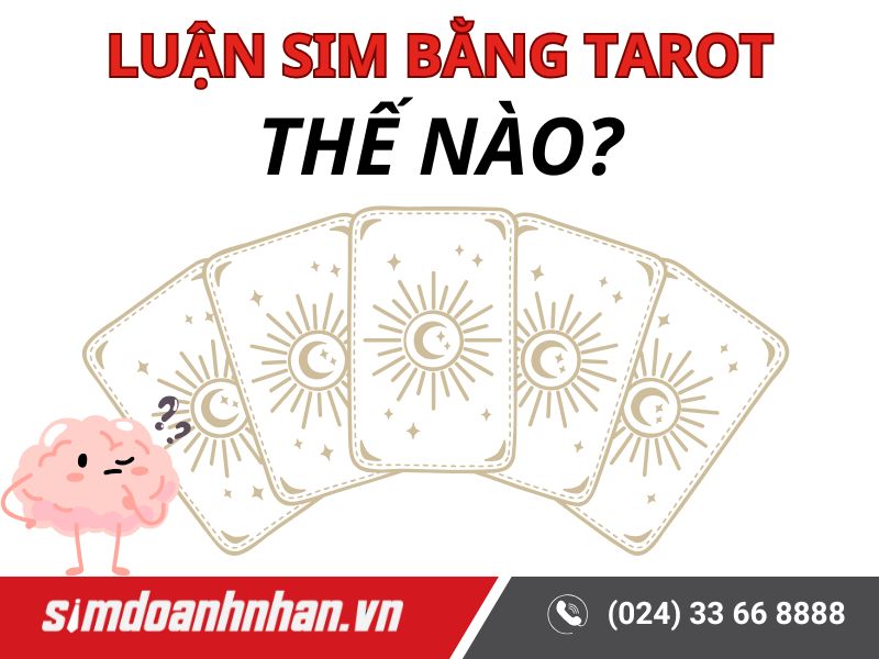 Luận Giải Sim Bằng Tarot 