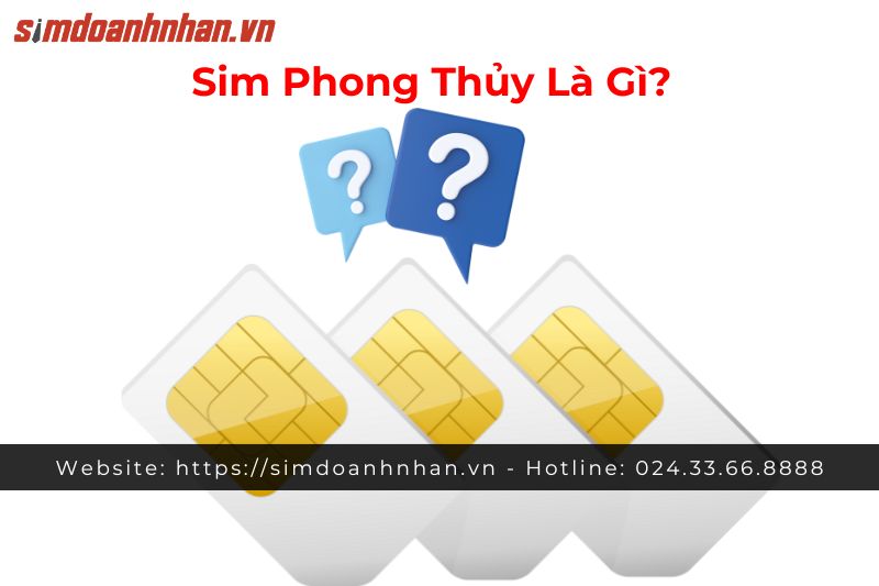 Sim Phong Thủy Là Gì?