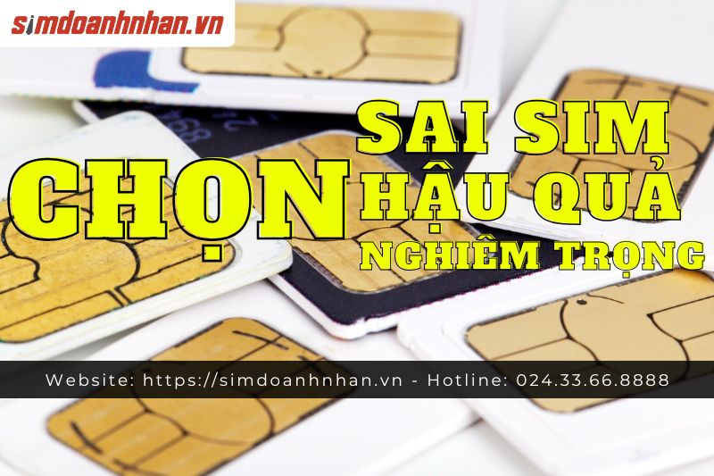 Chọn Sai Sim Phong Thủy Khiến Tài Vận Thất Thoát