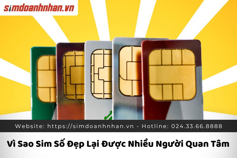 Vì Sao Sim Số Đẹp Lại Được Nhiều Người Quan Tâm