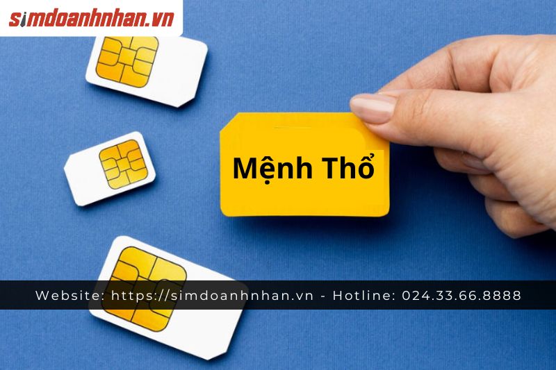 Sim Hợp Mệnh Thổ Có Đặc Điểm Gì?