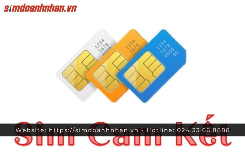 So Sánh Sim Cam Kết Và Sim Không Cam Kết 