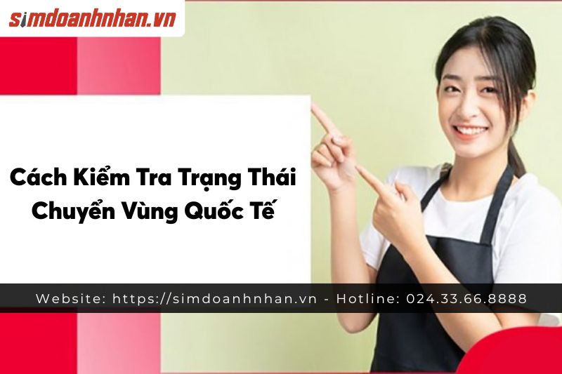 Cách Kiểm Tra Trạng Thái Chuyển Vùng Quốc Tế