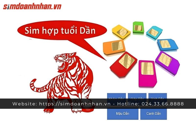 Tổng Quan Về Tuổi Giáp Dần 1974 